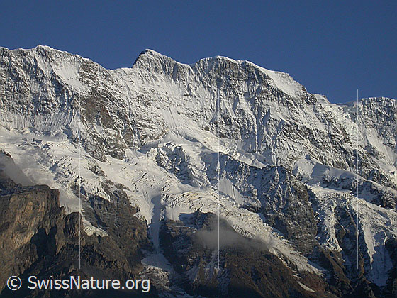 Foto: Mittaghorn NNW (Mürren) im Abendlicht.
Davor Hubelgletscher und Breitlouwenengletscher.