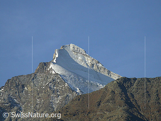 Foto: Brunegghorn von NNE. 
Davor der Abberggletscher.