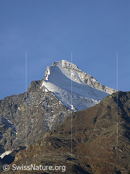 Foto: Brunegghorn von NNE.
Davor der Abberggletscher.