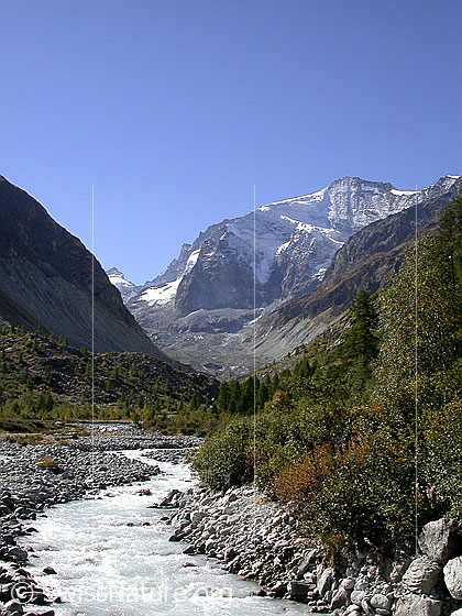 Foto: Glacier de Zinal und Grand Cornier von N
Fluss: La Navisence