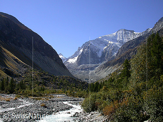 Foto: Glacier de Zinal und Grand Cornier von N
Fluss: La Navisence