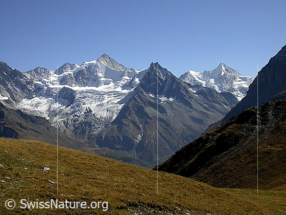 Foto: Schalihorn, Zinalrothorn, Besso, Wellenkuppe und Ober Gabelhorn von NW.
Davor der Glacier de Moming.