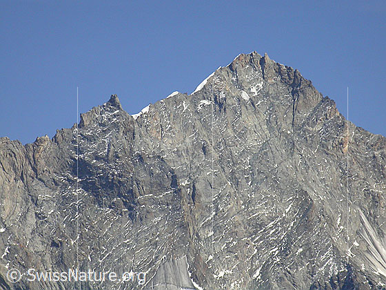 Foto: Gipfelbereich des Weisshorn von WNW.
Gut sichtbar sind Gendarme und Firngrat des Nordgrats.