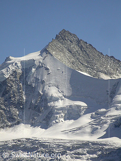 Foto: Zinalrothorn von NW.
Gut sichtbar ist L