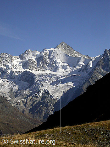 Foto: Schalihorn und Zinalrothorn von NW.
Davor: Glacier de Moming