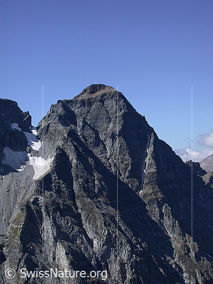 Foto: Blick vom Gischigletscher zum Gipfel der Vordere Helse.