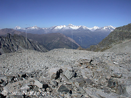 Foto: Beim Gischigletscher: Blick zu den Berner Alpen