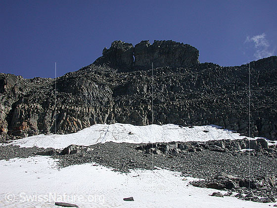 Foto: Beim Gischigletscher: Blick über die Reste des Gletschers zum Gischihorn