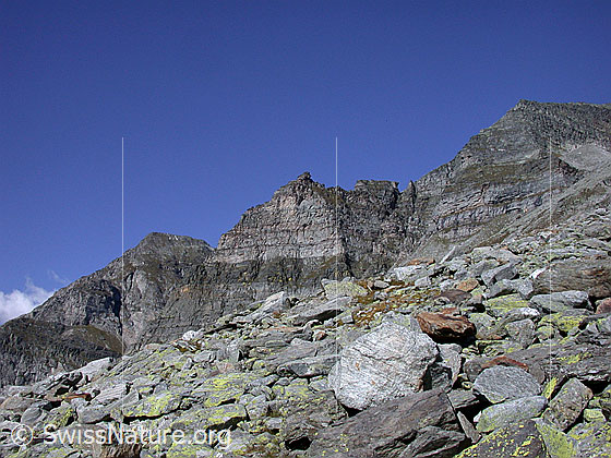 Foto: Im Abstieg vom Gischigletscher: Blick Richtung Gebiet Wannigletscher.