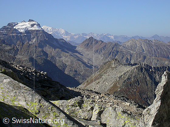 Foto: Blick vom Hotäl zu Hillehorn, Mättital und Rothorn.