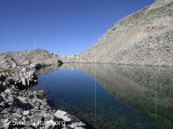Foto: Schwache Spiegelung in Bergsee.