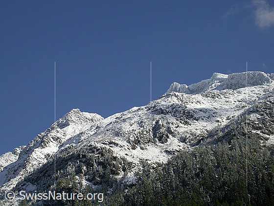 Foto: Chollerhorn und Unteres Schinhorn, frisch verschneit.