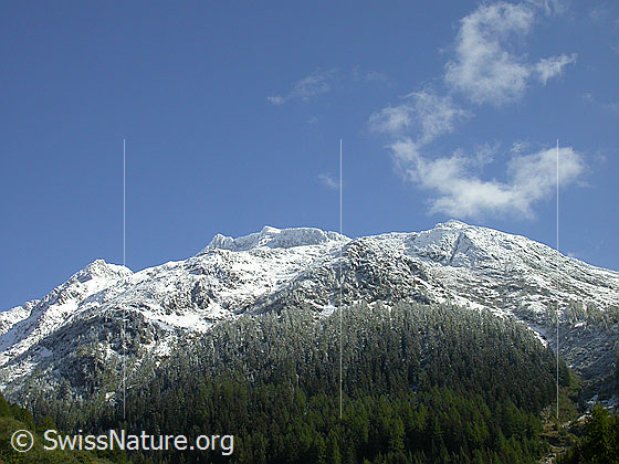 Foto: Chollerhorn, Unteres Schinhorn, Gorb und Längenbach, frisch verschneit.