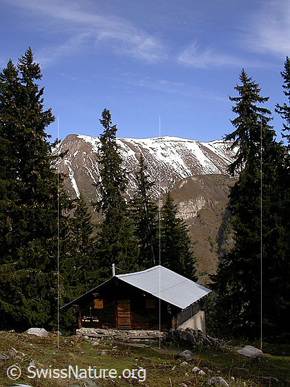 Foto: Hütte im Mässerchäller