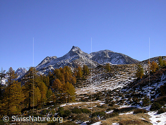 Foto: Blick von Hockbode zum Untere Schinhorn. Mit herbstlich gefärbten Lärchen.