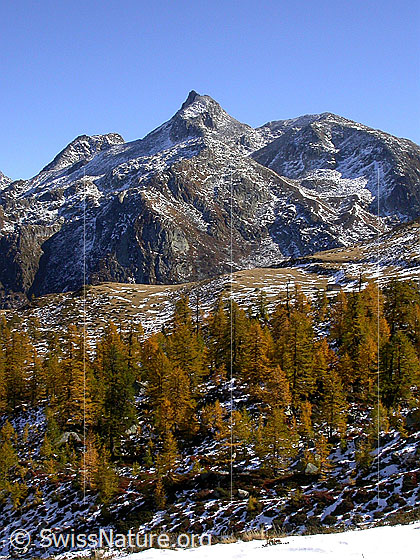 Foto: Im Aufstieg von Hockbode zum Schaplersee: Blick zum Untere Schinhorn.