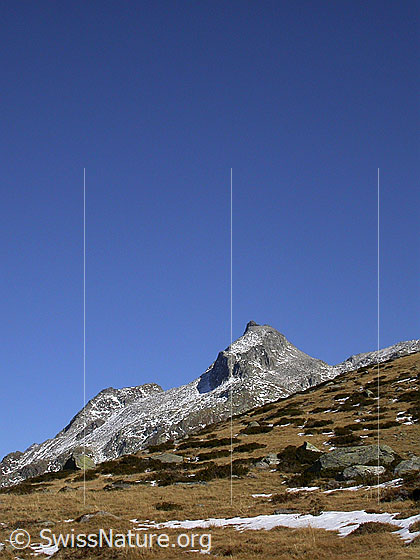 Foto: Chollerhorn und Unter Schinhorn von W (Mälche) Im Vordergrund herbstliche Farben.