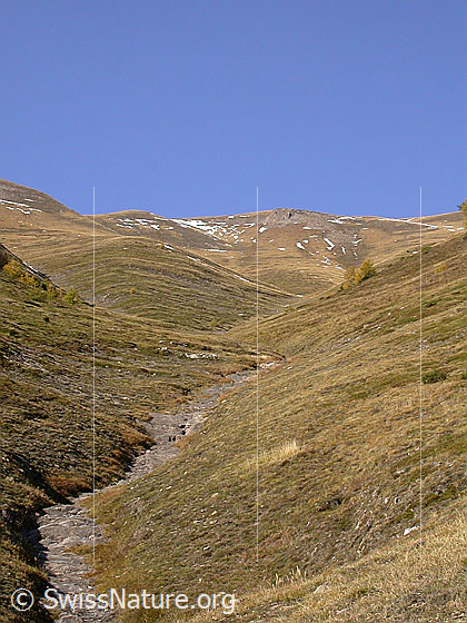 Foto: Blick über Steilhänge zum Schweifegrat.