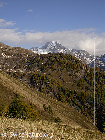 Foto: Ofenhorn, Galen und Fäldbachtal. Herbstliche Farben.