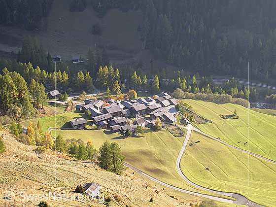 Foto: Imfeld