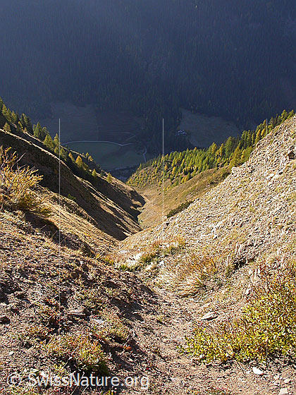 Foto: Blick vom Sännewäg in den Tielöüwigrabe. Im Talgrund sind einige Häuser von Giessen zu sein.