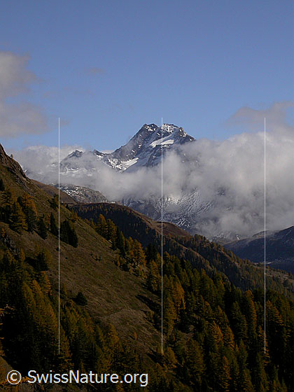 Foto: Nähe Sattulti: Blick zum Ofenhorn.