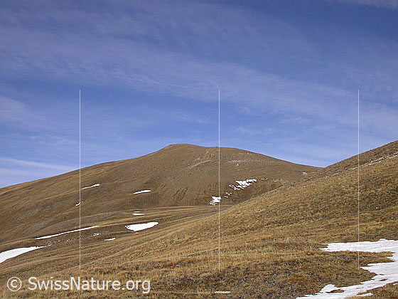Foto: Herbstlich gefärbte Landschaft im Aufstieg zum Breithorn. In der Bildmitte ist der Vorgipfel zu sehen.
Nach dem Bau von Grengiols Solar wird man hier von Solartischen umgeben sein.