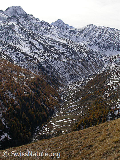 Foto: Blick von Pt. 2421 / Breithorn ins Saflischtal.