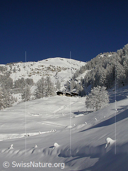 Foto: Verschneite Landschaft bei Schineregmach.
