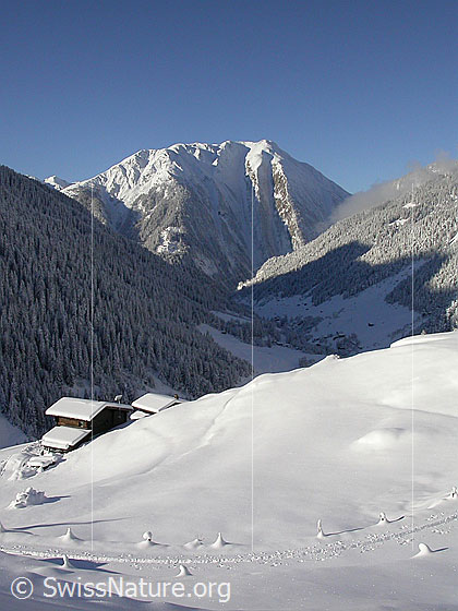 Foto: Verschneite Landschaft mit Skispur bei Schineregmach. Blick über das Binntal zum Breithorn.