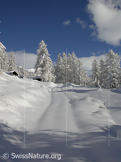 Foto: Verschneite Landschaft unterhalb Eggerebode.