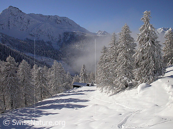 Foto: Verschneite Landschaft bei Eggerebode.