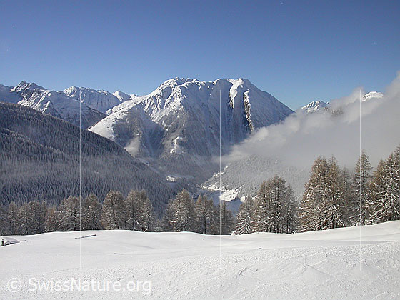 Foto: Blick von Pt.1975 (bei Hanschbiel) über das verschneite Binntal zum Breithorn.