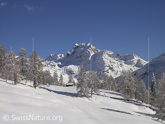 Foto: Verschneite, unberührte Landschaft bei Hanschbiel. Dahinter das Ofenhorn.