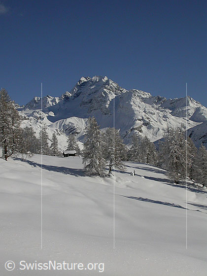 Foto: Verschneite, unberührte Landschaft bei Hanschbiel. Dahinter das Ofenhorn.
