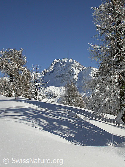Foto: Verschneite, unberührte Landschaft bei Hanschbiel mit Ofenhorn.