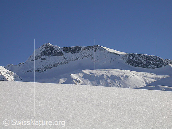 Foto: Unters Schinhorn. Verschneit im Streiflicht.