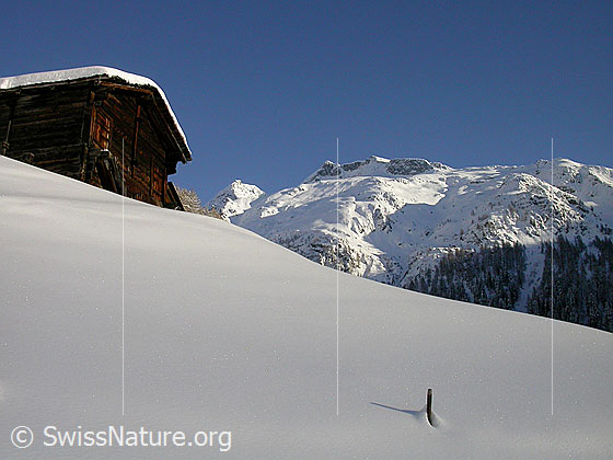 Foto: Unters Schinhorn. Verschneit im Streiflicht. Im Vordergrund eine Alphütte.