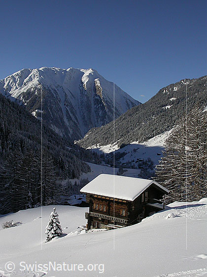 Foto: Blick über das tief verschneite Binntal. Im Vordergrund: Eine Alphütte.