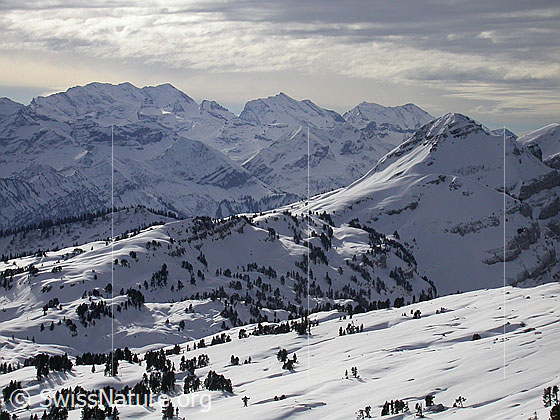Foto: Sieben Hengste: Blick zum Gemmenalphorn. Im Hintergrund: Blüemlisalp, Doldenhorn, Balmhorn und Altels.