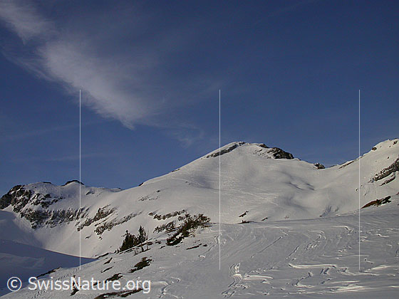 Foto: Im Aufstieg zunm Türstenhäuptli: Blick zum Schibengütsch.