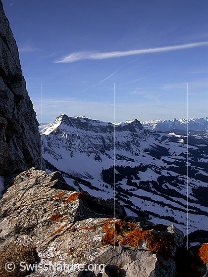 Foto: Türstenhäuptli: Blick zum Hohgant.
