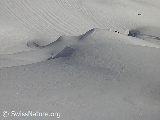 Foto: Türstenhäuptli: Unberührte Winterlandschaft oberhalb der Waldgrenze.
