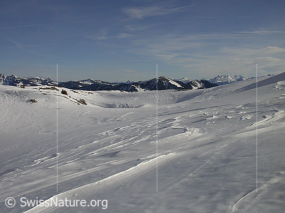 Foto: Karge Winterlandschaft.