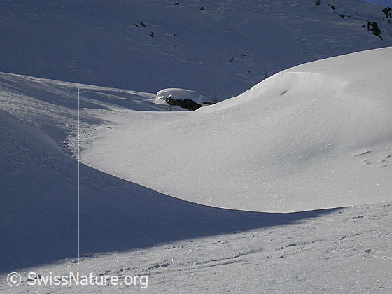 Foto: Licht und Schatten in unberührter Winterlandschaft auf Hockboden.