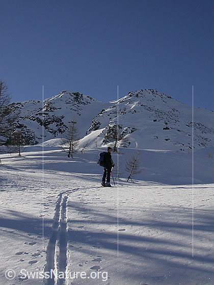 Foto: Auf Skitour im Gebiet Hockbode