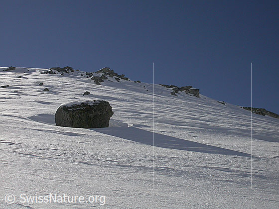 Foto: Im Aufstieg durch das Hotäl zum Grossen Schinhorn.