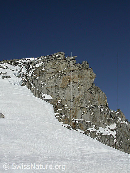 Foto: Im Aufstieg zum Grossen Schinhorn. Blick vom Mittelbergpass zum Gipfel.