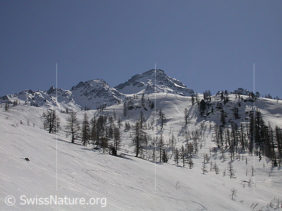 Foto: Schwarzhorn