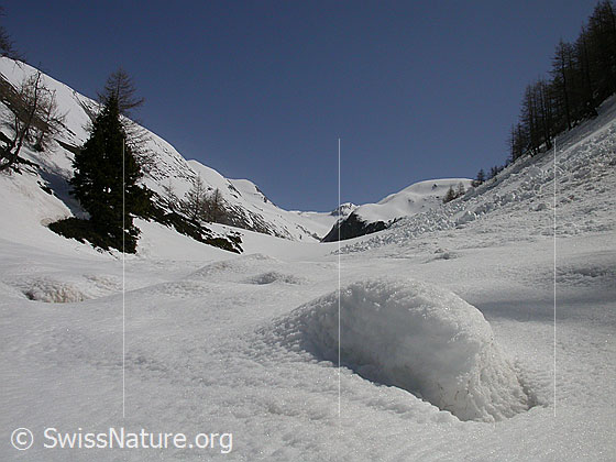 Foto: Am Eingang zum Fäldbachtal, in welchem noch viel Schnee liegt. Blick talaufwärts.